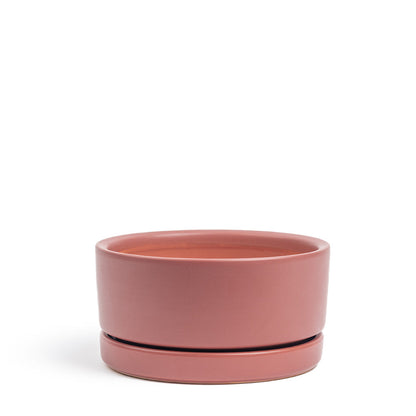 Momma Pot  - Low Bowl - 4.5"