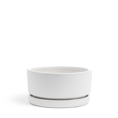 Momma Pot  - Low Bowl - 6"