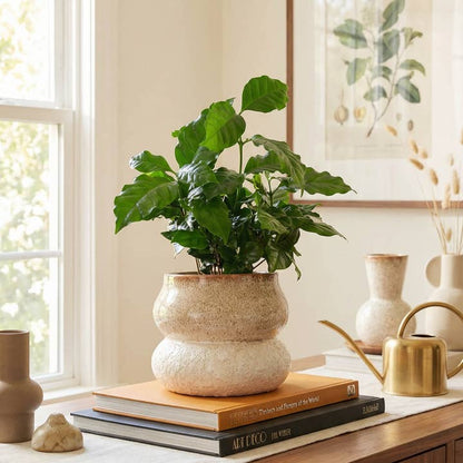 Noemi Stacked Planter - 5"