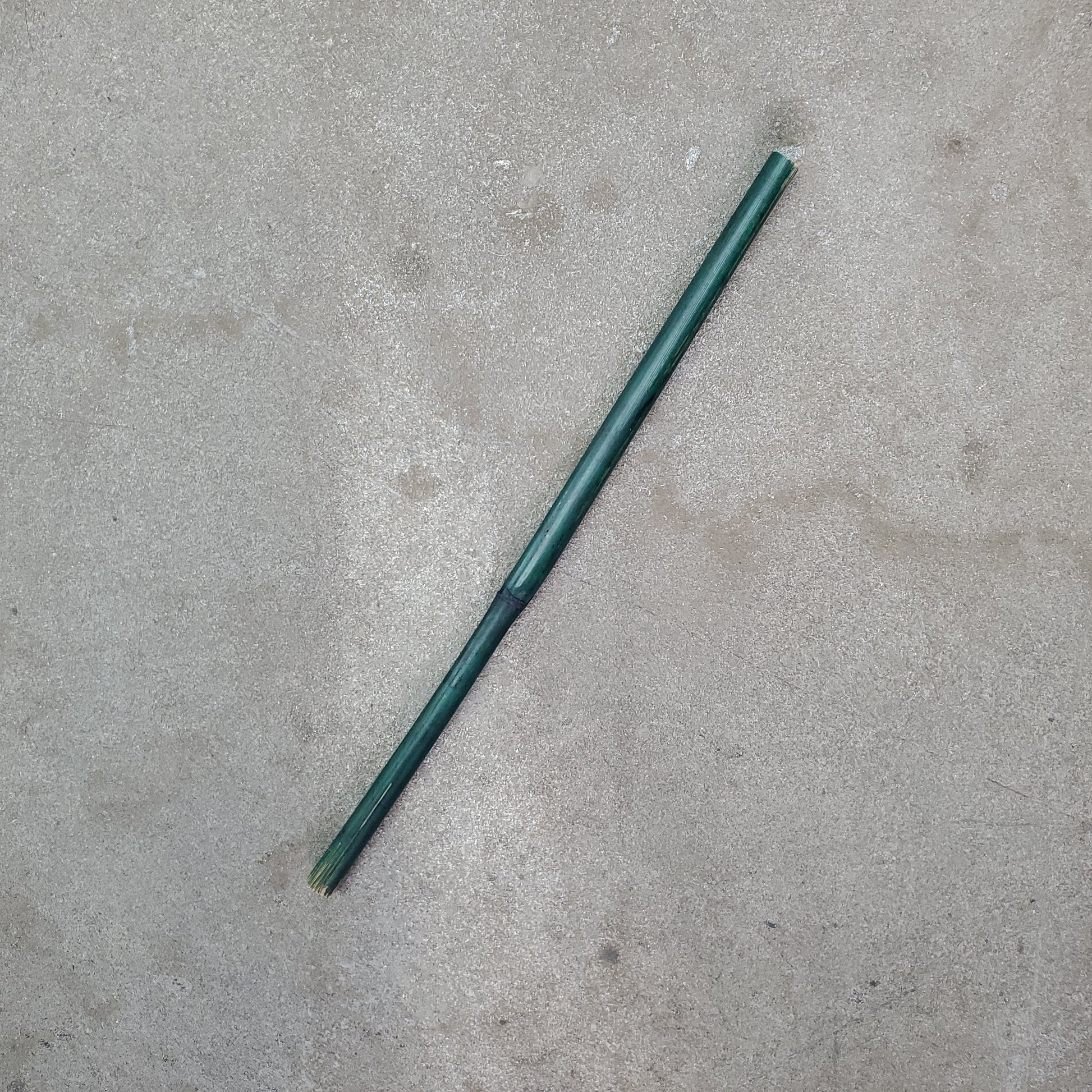 PLANT SUPPLIES - Bamboo Stake - 12"