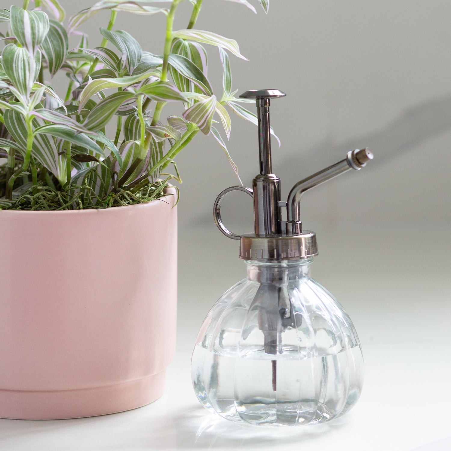 Vintage plant mister - Clear