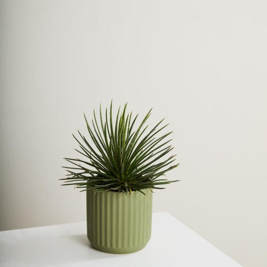 PLANTERS - Beam Pot - 7" (sage Green)