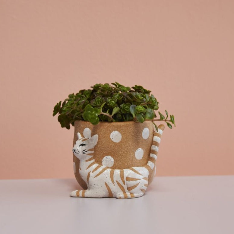 Cat Pot - 4.25