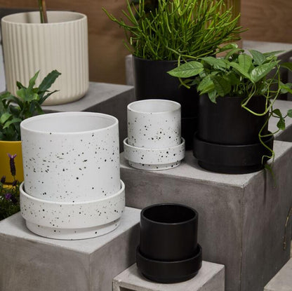 PLANTERS - Claxton Pot - 10"