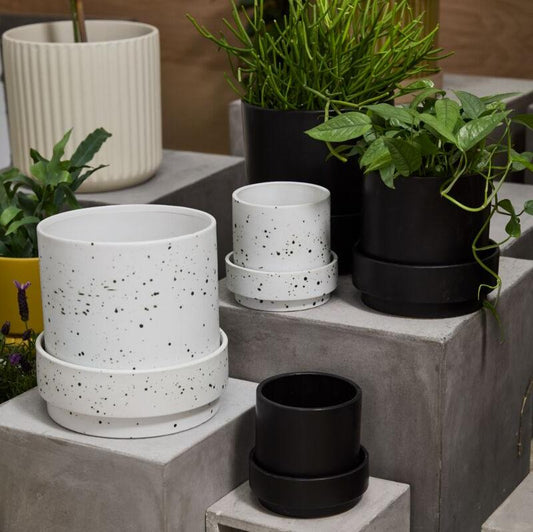 PLANTERS - Claxton Pot - 10"