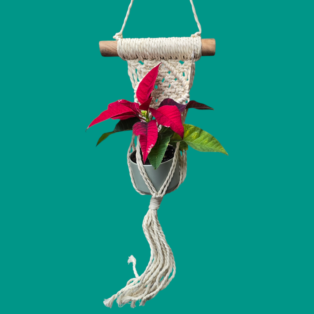 Macrame Hanging - 15