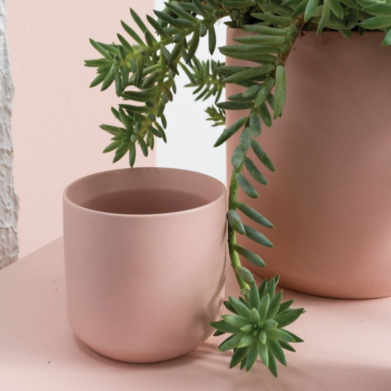 PLANTERS - Kendall Pot - 4.75" (Light Pink)