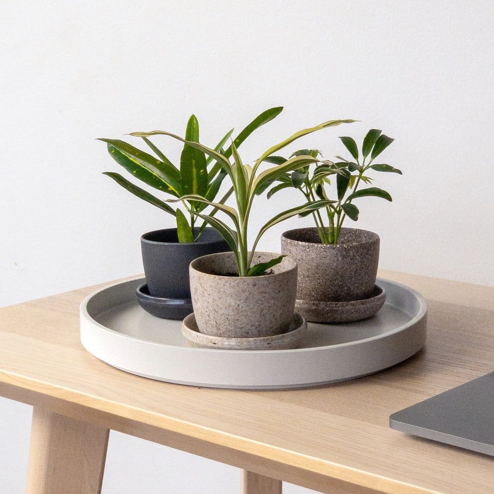 PLANTERS - Mini Essence Pots - 3"