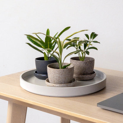 PLANTERS - Mini Essence Pots - 3"