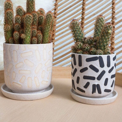 PLANTERS - Sundae Planter - 4.75"