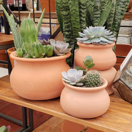 PLANTERS - Wash Pot - 8"