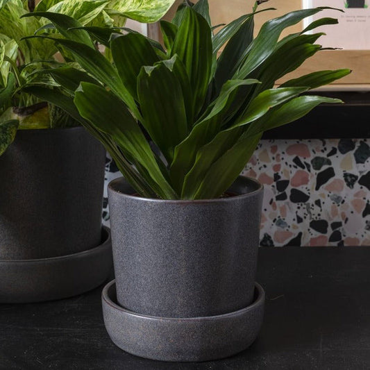 PLANTERS - Watson Pot - 5.25" (Black)