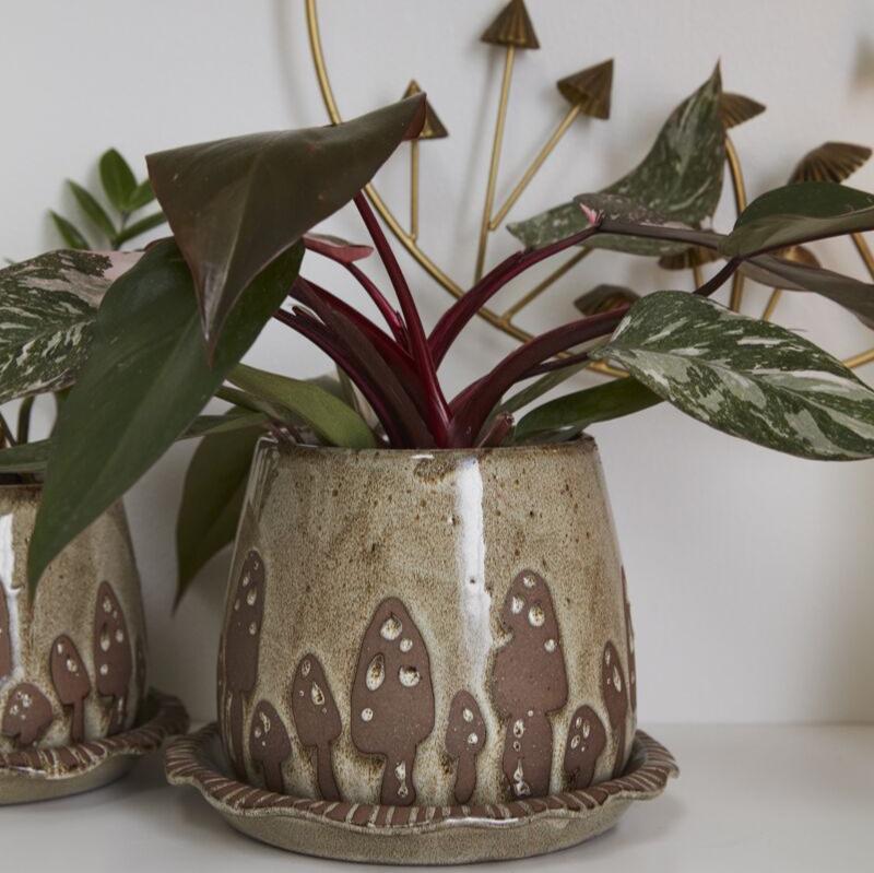 Wild Mushroom Pot - 7