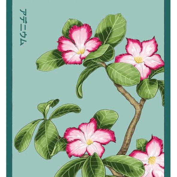 Seed - Desert Rose
