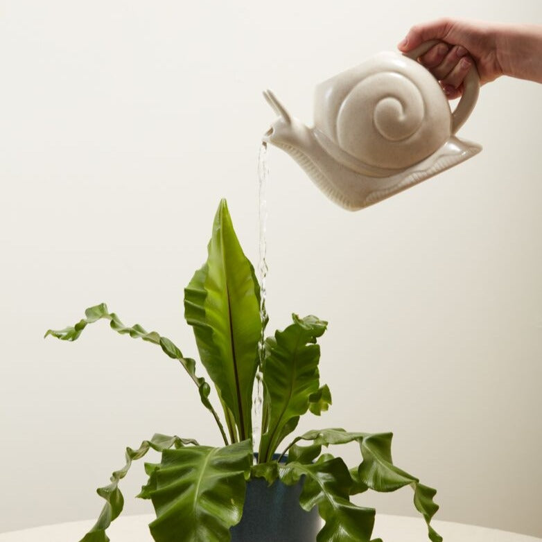 Slowpoke Watering Can