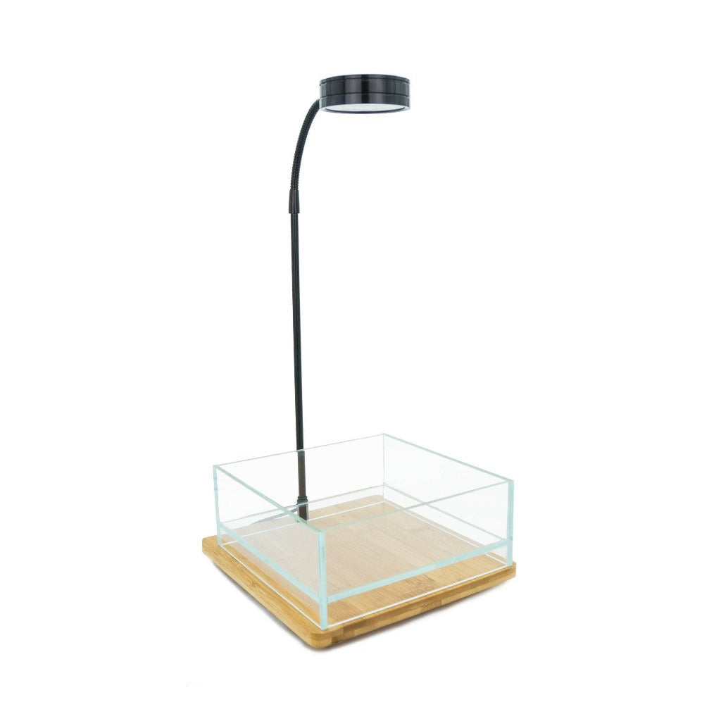 HIRO Aquatics Nano Shallow Rimless Tank