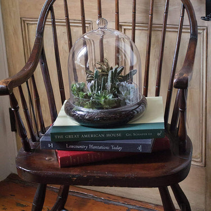 TERRARIUM GLASS - Terrarium Cloche - 10"