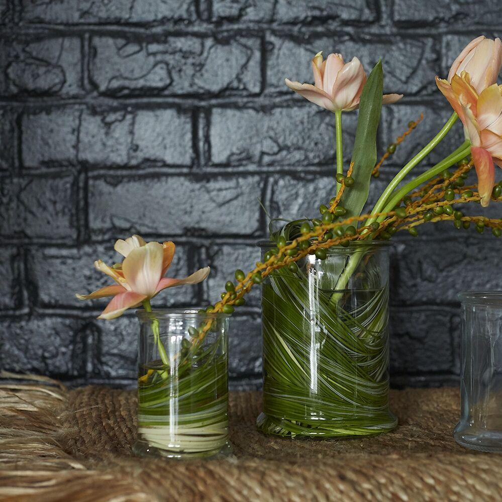 TERRARIUM GLASS - Veza - 3"