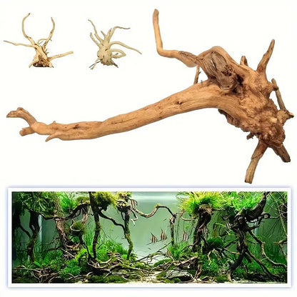 TERRARIUM WOOD - Driftwood - Assorted