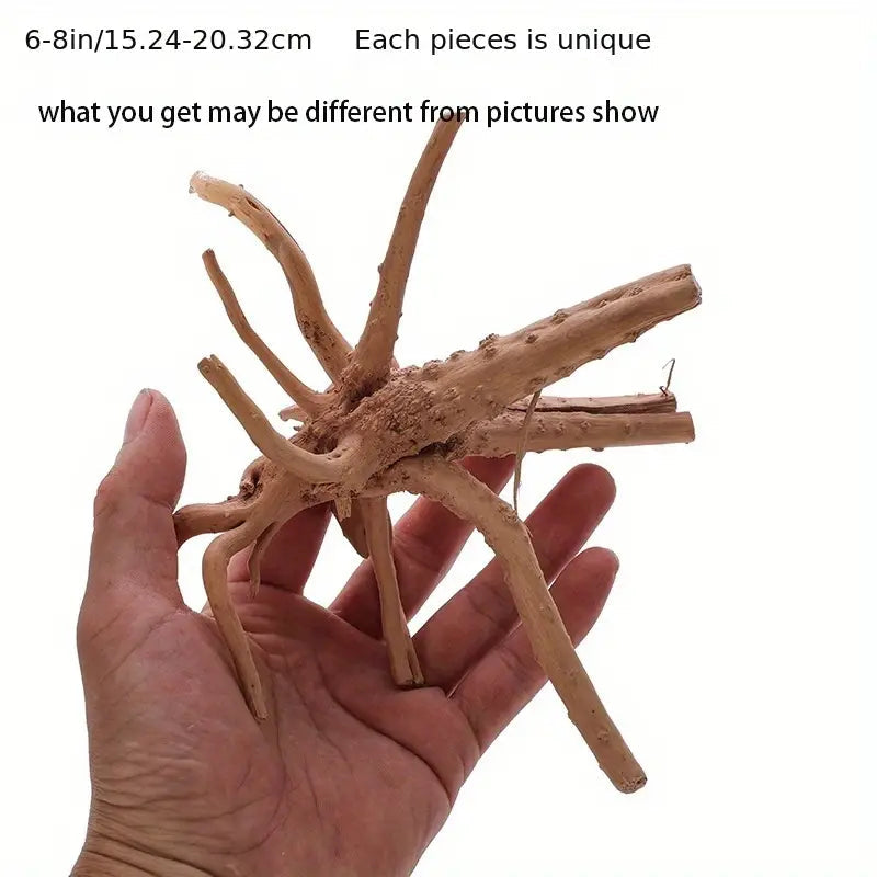 TERRARIUM WOOD - Spider Wood