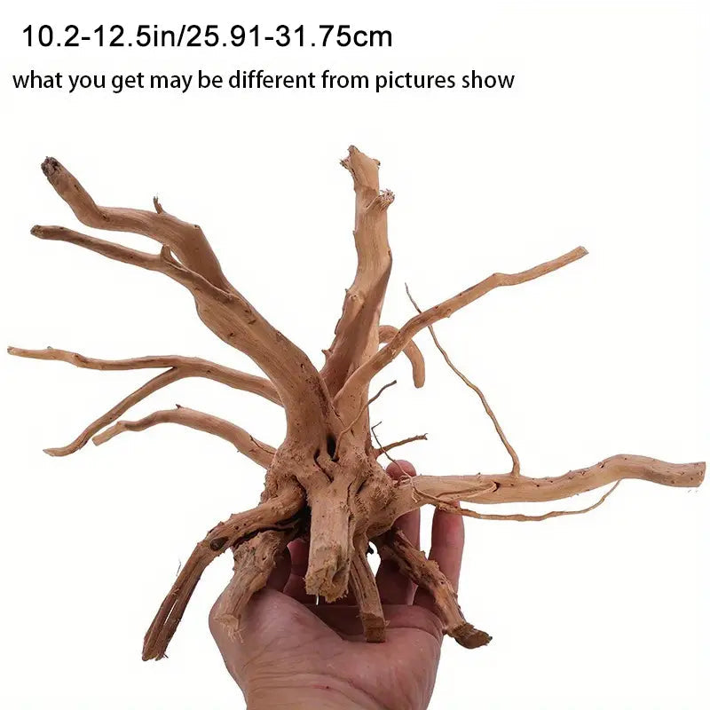 TERRARIUM WOOD - Spider Wood