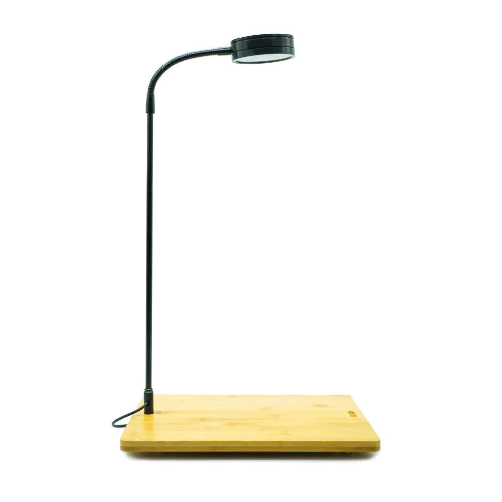 SPOTLIGHT W/BAMBOO STAND - 12W